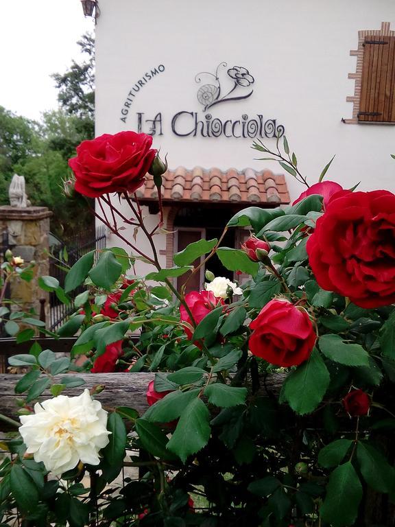 Agriturismo La Chiocciola 博奇奥穆雷拉 外观 照片